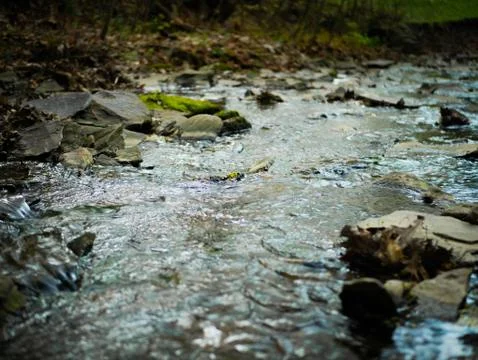 Creek/Stream Bed Stock Photos