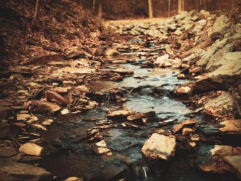 Creek/Stream Bed Stock Photos