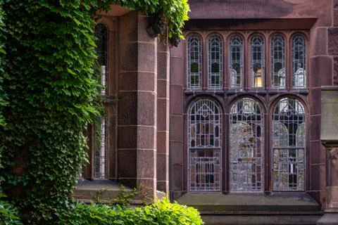 Creeping plants, ivy on the walls of educational buildings at Princeton Unive Stock Photos