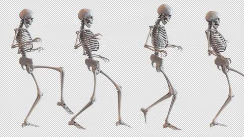 Creeping Skeletons Loop Stock Footage 265074070