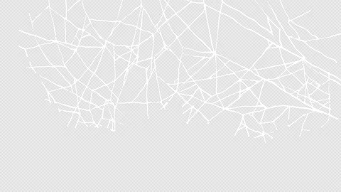 Creeping webs on a black screen Stock Footage 195918952