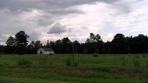 Creepy barn in a field with cows 스톡 동영상 90679644