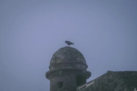 Creepy bird on castle tower Stock Photos