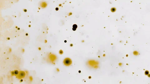 Creepy bubblefloating in liquid looking Stock Footage 113768041