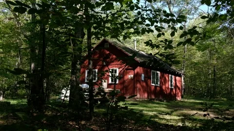 Creepy Cabin 4K Stock Footage 160624716
