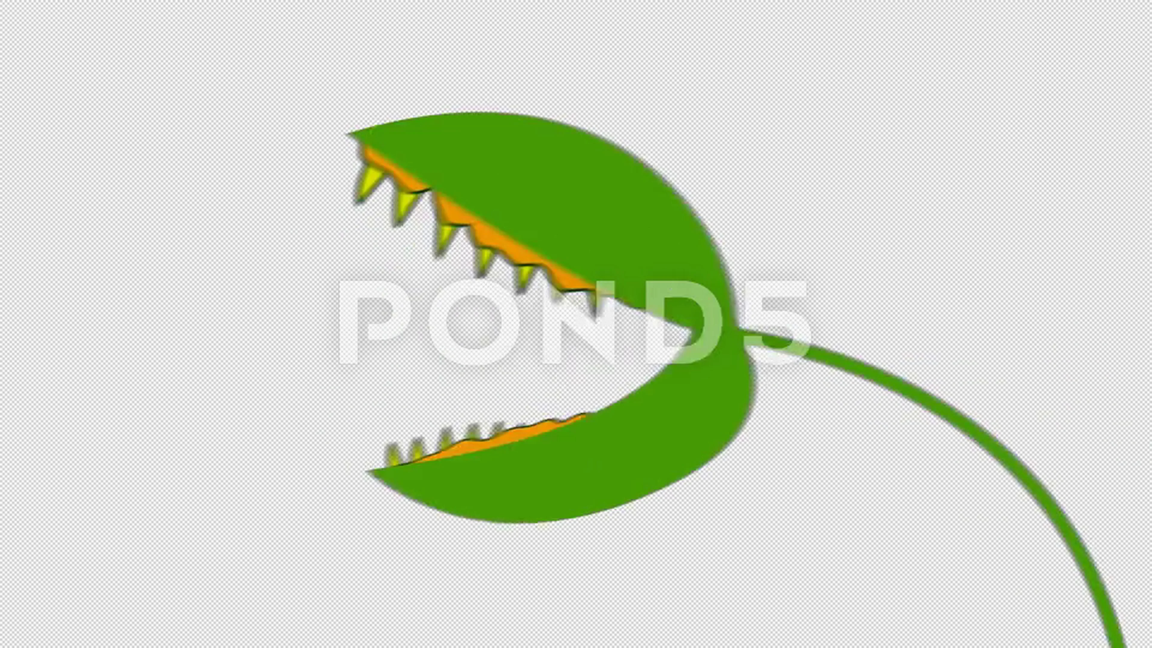 Creepy Cartoon Venus Fly Trap Biting in ... | Stock Video | Pond5