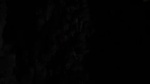 Creepy cave Stock Footage 72029886