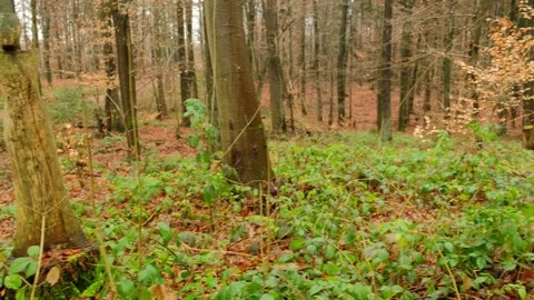 Creepy figure in a forest. Stock Footage 172525965
