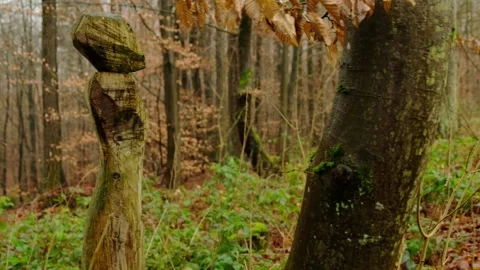 Creepy figure in a forest. Stock Footage 172525988