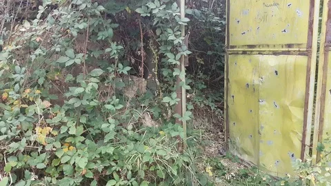 Creepy Gate Vídeos de archivo 97206529