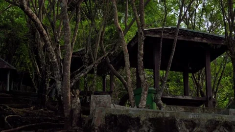 Creepy gazebo behind the tree Video stock 197052151