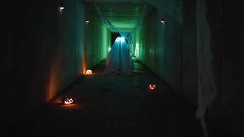 The Creepy Ghost In The Dirty Tunnel Stock Footage 317624433