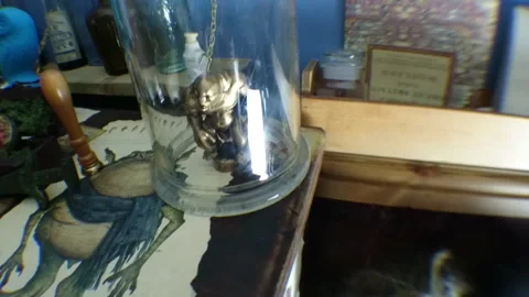 Creepy Horror House Objects 14 動画素材 221084859