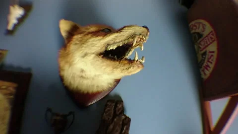 Creepy Horror House Objects 2 動画素材 221083746