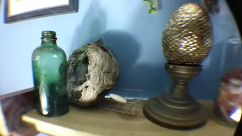Creepy Horror House Objects 21 Stock Footage 221083654