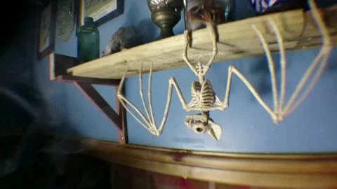 Creepy Horror House Objects 23 動画素材 220139053