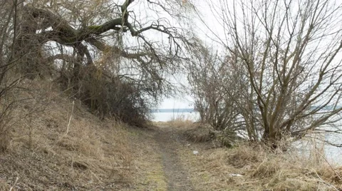 Creepy lake - unaltered Video stock 63163456