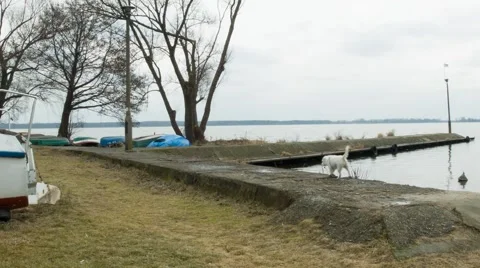Creepy lake - unaltered Video stock 63163903