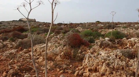 Creepy Landscape Desert Stock Footage 36742296
