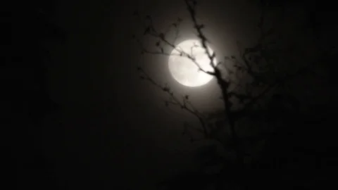 Creepy Night Sky Full Moon Timelapse To Black Stock Footage