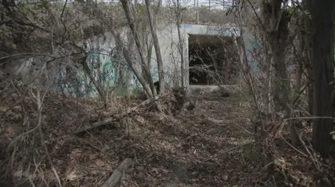 Creepy path with forward motion 스톡 동영상 35546708