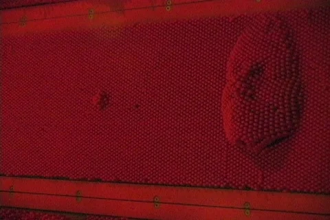 Creepy Red Face going through a Wall Distrubing 1 Stock Footage 565676