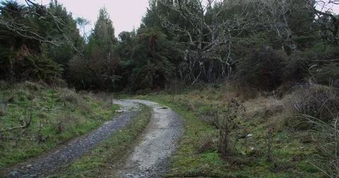 Creepy Road Stock Footage 79031756