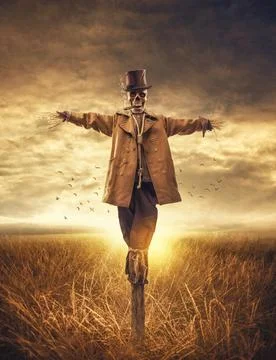 Creepy scarecrow in the fields Stock Photos