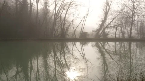 Creepy scene with bare trees growing out of the water surface Vídeos de archivo 84214031