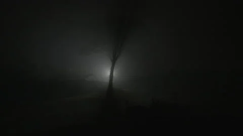 Creepy shape of a tree in midnight Video stock 178484446