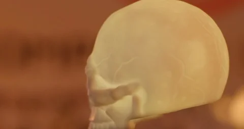 Creepy skull rotating clockwise Stock Footage