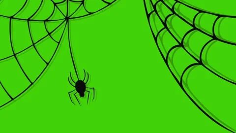 Creepy spider on glitch web spooky halloween animation on green screen Stock Footage 315793780