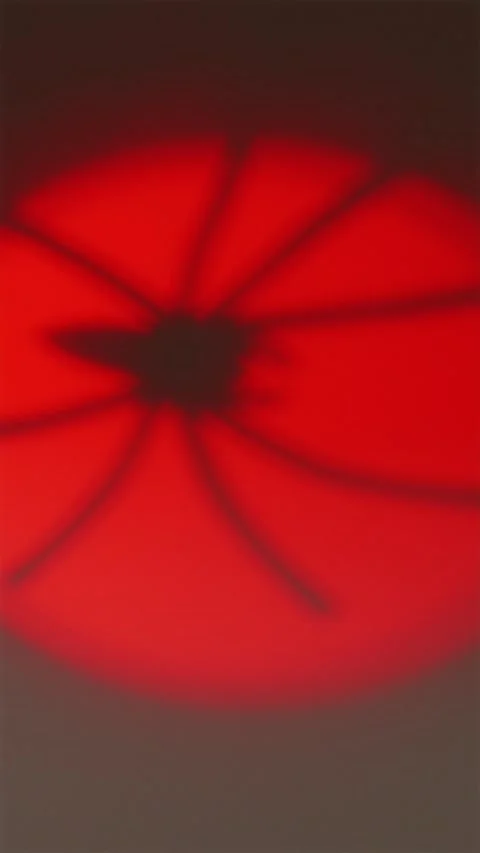 Creepy spider shadow entering red circular spotlight on straw Stock Footage 342423119