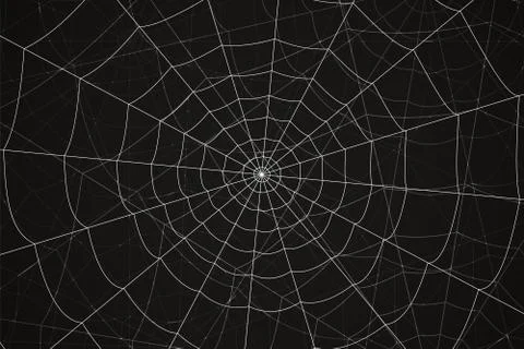 Creepy spider web on a black background Stock Illustration