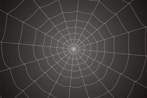 Creepy spider web on a gray background 스톡 일러스트