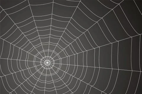 Creepy spider web on a gray background Stock Illustration