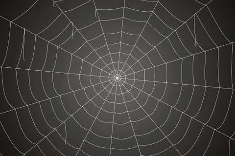 Creepy spider web on a gray background Stock-Illustration