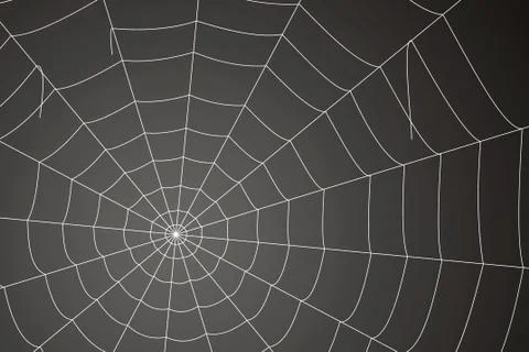 Creepy spider web on a gray background 스톡 일러스트