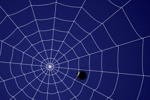 Creepy spider web with spiders on a blue background Stock Illustration