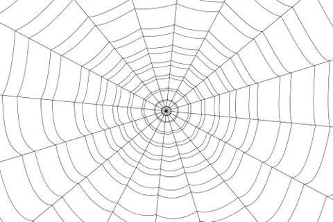 Creepy spider web on a white background Illustrazione stock