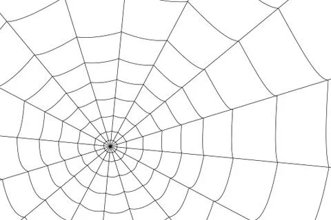 Creepy spider web on a white background Illustrazione stock