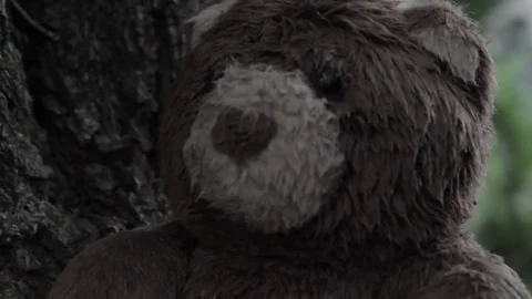Creepy Teddy Bear In Tree 2 Stock Footage 79024436