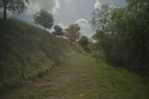 Creepy trail Stock Footage 277949927