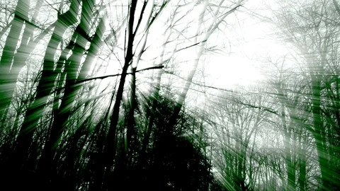 Creepy UFO watching walker in the woods 库存影片 88192053