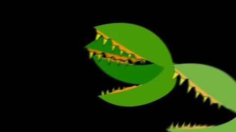 Creepy Venus Fly Traps Attacking in Alpha Channel Stock Footage 86835428