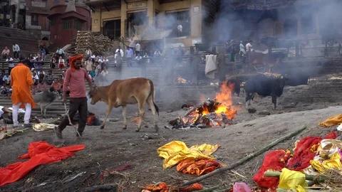 Cremation at Manikarnika Ghat 스톡 동영상 103425435