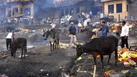 Cremation at Manikarnika Ghat 스톡 동영상 103442529