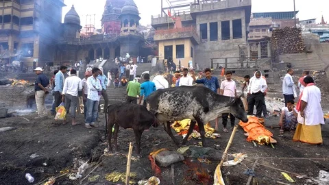 Cremation at Manikarnika Ghat 스톡 동영상 103442550