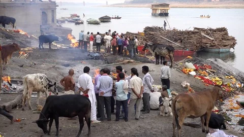 Cremation at Manikarnika Ghat 스톡 동영상 103445040