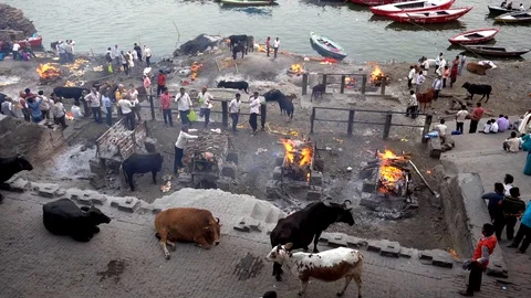 Cremation at Manikarnika Ghat Stock Footage 103456975